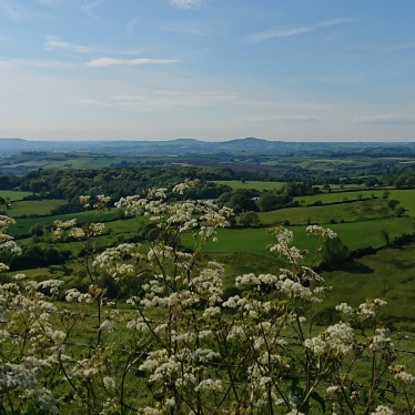 View of Dorset